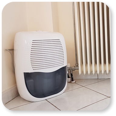 Dehumidifier Service in Sarasota & Manatee County